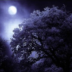 bankroll (lil biscuit)