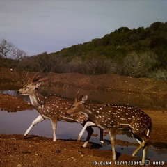 SAD OLE COUNTRY SONG_DBMIX