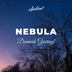 Dominik Giesriegl - Nebula