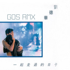 GOS RMX -  起走过的日子 刘德华 (歌词版) [CHINA] *FREEDOWN