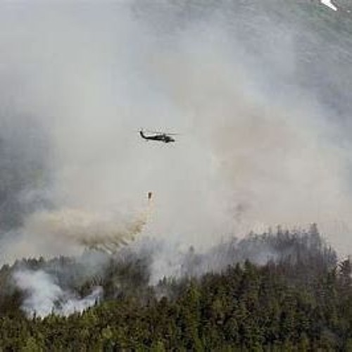 Stream Incendies les forêts boréales ont émis un record de