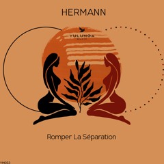 HERMANN - Romper La Pista (Original Mix)
