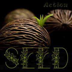 Seed