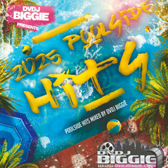 2025 Poolside Hits