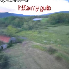 h8te my guts (with edgemaster42)