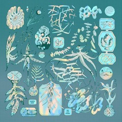 SSR020: Haunted Ghost - New Life Paeans SAMPLES