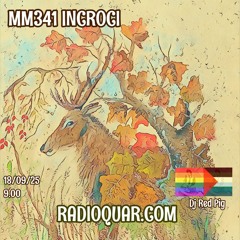 MM341 INCROCI