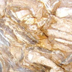 SONIC SOLUTION - Mind Keep Dancing (FREE DOWNLOAD)