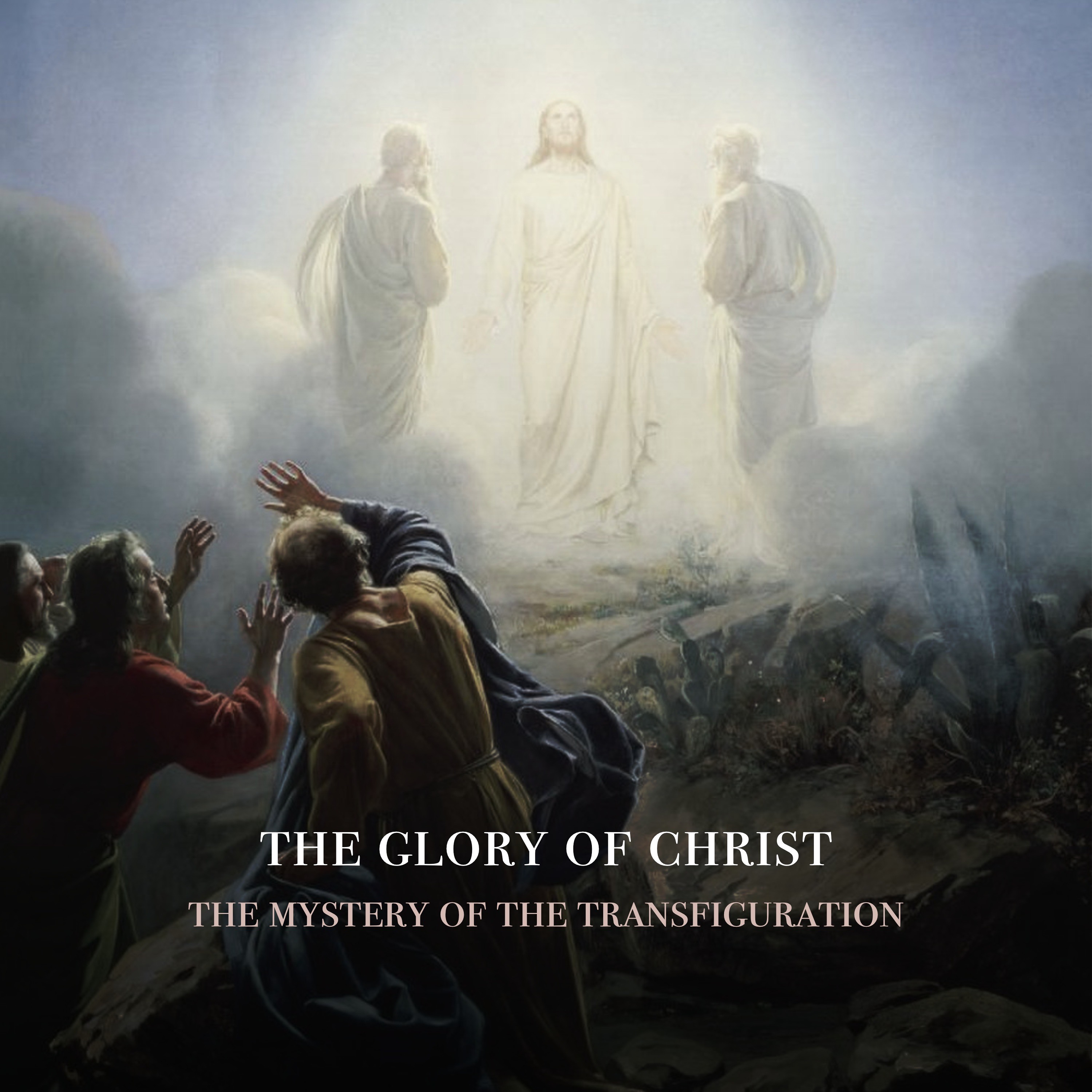 Fr. Barry Braum - Homilies and Conferences