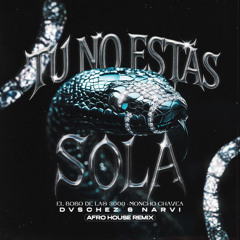 Tu No Estas Sola (DVSCHEZ & NARVI Afro House Remix)