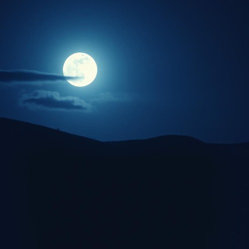 Midnight Musings