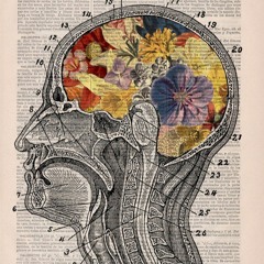 Mémoire - Comment les médias parlent-ils de la psychiatrie ?