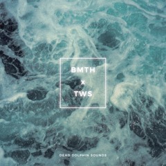 BMTH - Dead Dolphin Sounds (They Will See Remix)