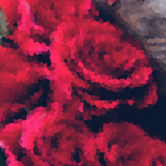 Rose(Remix)