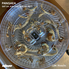 Pangaea - 04 June 2022
