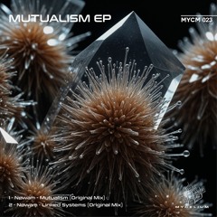 Nøwam - Linked Systems [Mycelium]