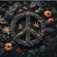 ZenMars - PEACE 2 ☮