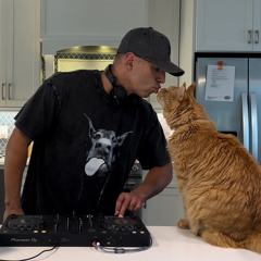 LExG B2B Maximus