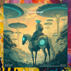 PREMIERE: Air Horse One — Flip (Matija & Richard Elcox Remix) [Baikal Nomads]