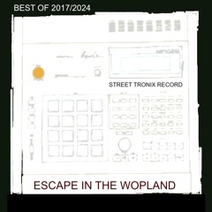 Escape in The Wopland Playlist 1 And Dope Your Baas Song .2024