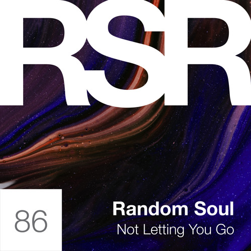 Not Letting You Go (Extended Mix)
