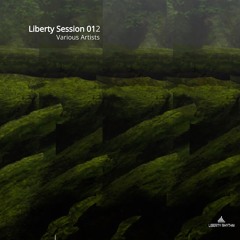 Hopler Route - Missed Day [Liberty Rhythm]