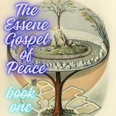 The Essene Gospel Of Peace * Book One