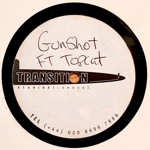 Shy FX & T Power feat. Top Cat – Everyday (Unreleased Remix) [DUBPLATE CLIP]