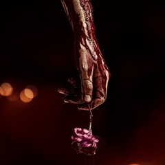 No Fue Mi Sangre