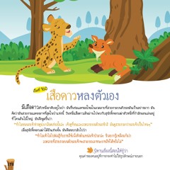 160 เสือดาวหลงตัวเอง