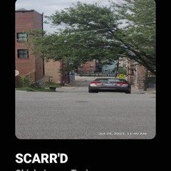 SCARR'D