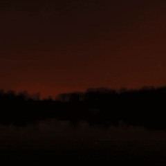 Cult Member - Hard Sample (Unreleased 2024)