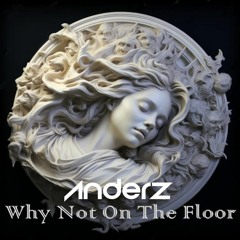 Anderz - Why Not On The Floor