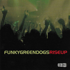 Funky Green Dogs - Rise Up (Luis Erre & Luis Vazquez Remix)