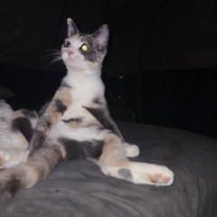 Experiment0000 [Prod. Fuketsu] (FREE)