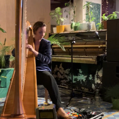Liz Wirestring – Live @Oasis Tallinn (excerpt_1)