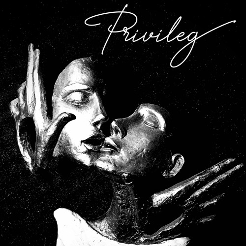 -Privileg-