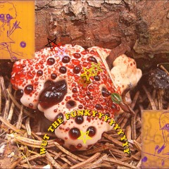 ⛧ gutmaggot ⛧ - whatthefungi