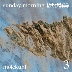sunday morning swim 3: molekühl