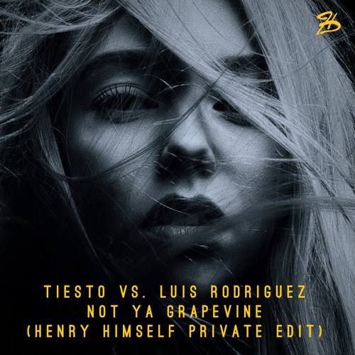 Tiesto vs. Luis Rodriguez - Not Ya Grapevine (Henry Himself Private Edit)