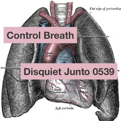 Disquiet Junto Project 0539: Control Breath