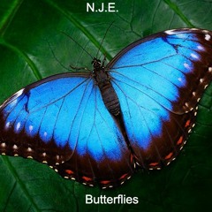 Butterflies (Original Mix)