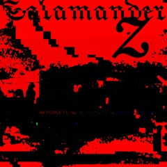 RACHE1230 - Salamander Z (LIVE DJ SET)