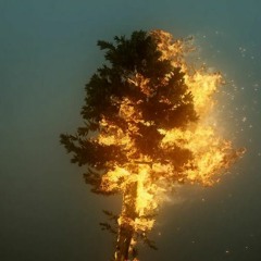 For Emma - Bon Iver(Cover)