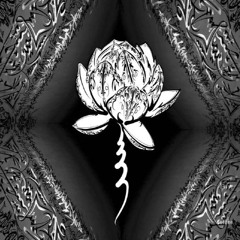 Lotus Night（OCTO_Live rec_20240719）
