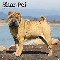 [Get] PDF 📘 Shar Pei | 2023 12 x 24 Inch Monthly Square Wall Calendar | BrownTrout |