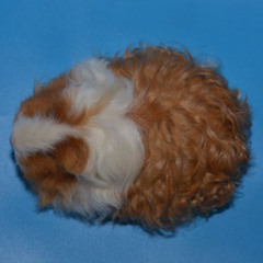 skaiwater study 004 30.03.2025