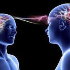 Minds Alike