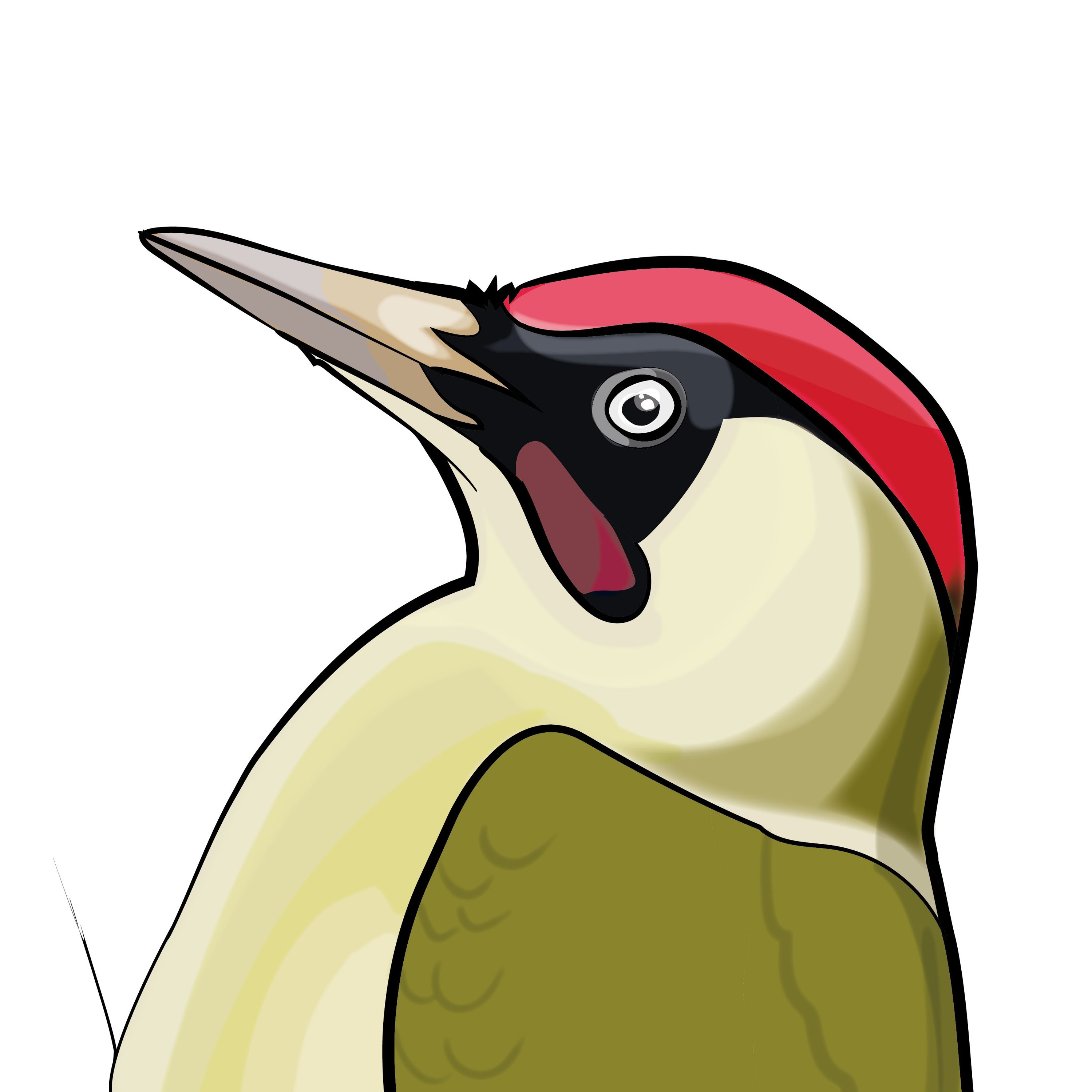 Pippipodden