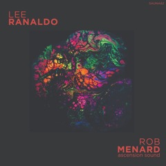 Lee Ranaldo - Sky Hauling (Prelude) - from split cassette w/ Rob Menard